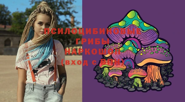 ГАЛЛЮЦИНОГЕННЫЕ ГРИБЫ Алзамай