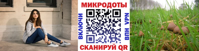 Псилоцибиновые грибы мухоморы  наркотики  Макушино 